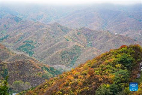  만약 중국 여행을 계획하고 있다면 험한 산세에 자리한 백화산을 꼭 방문해야 할까?